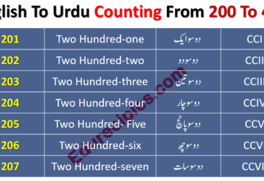 Easy Guide English To Urdu Counting From 200 To 400 For Kids